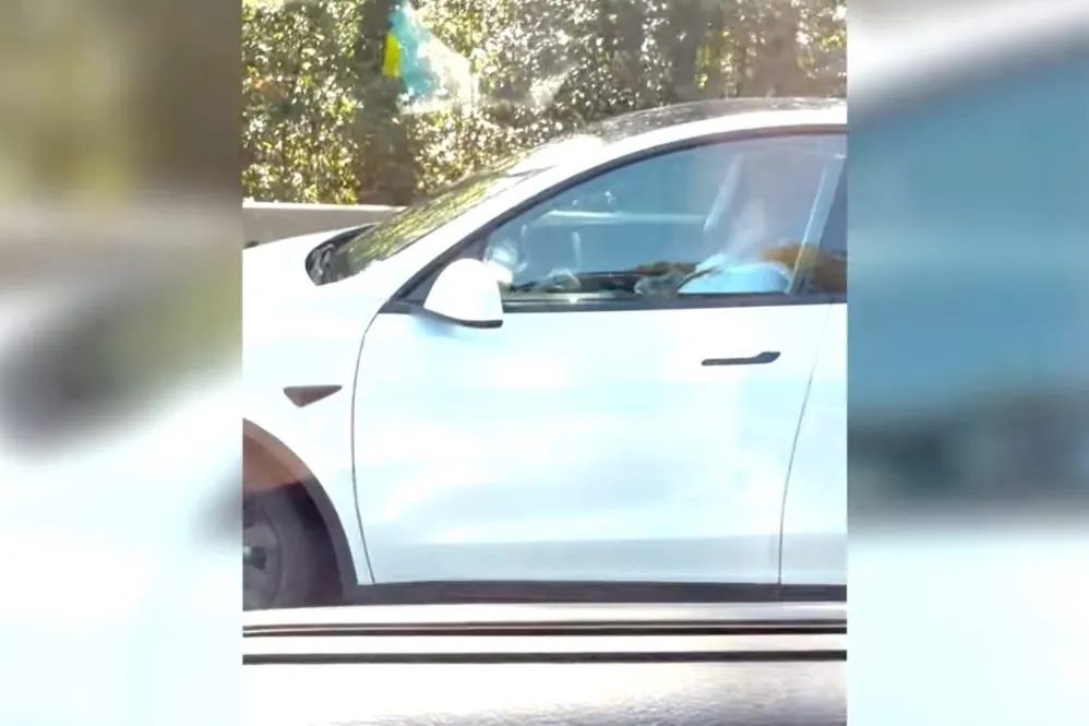 B.C. Woman Fined $368 After Tesla Model Y Caught Driving on Highway 1 While She Slept