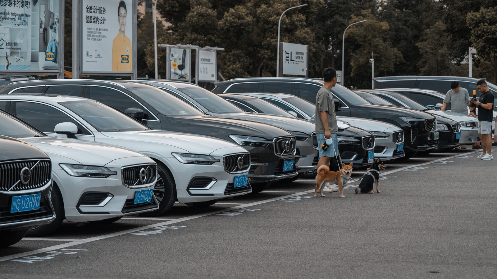 Lightly Used Chinese EVs Could Save Canadian Buyers Up to 40%, Claims Go Viral