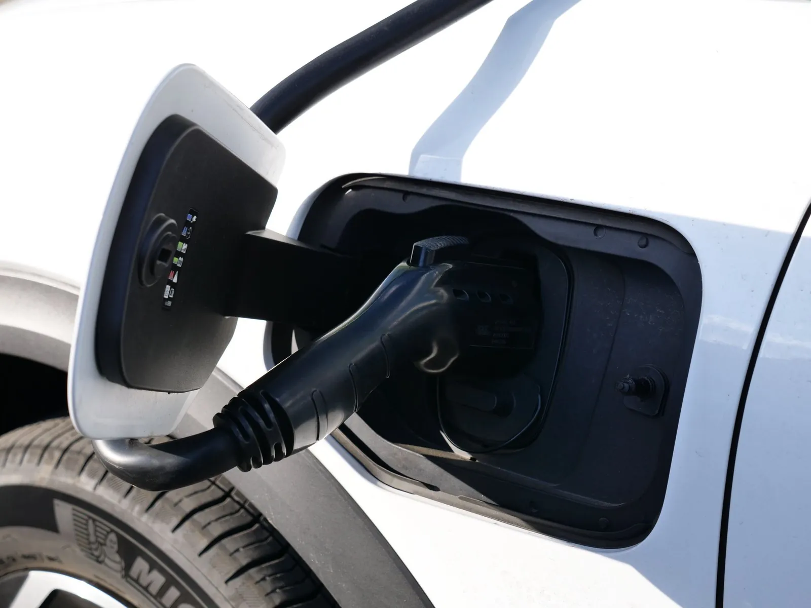 EV Community Canada: How Owners Are Driving the Green Shift