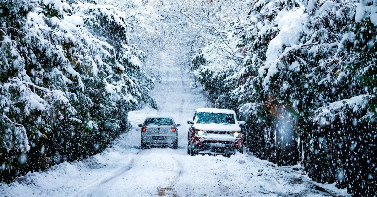 EV Winter Efficiency vs Gas Cars in Deep Cold